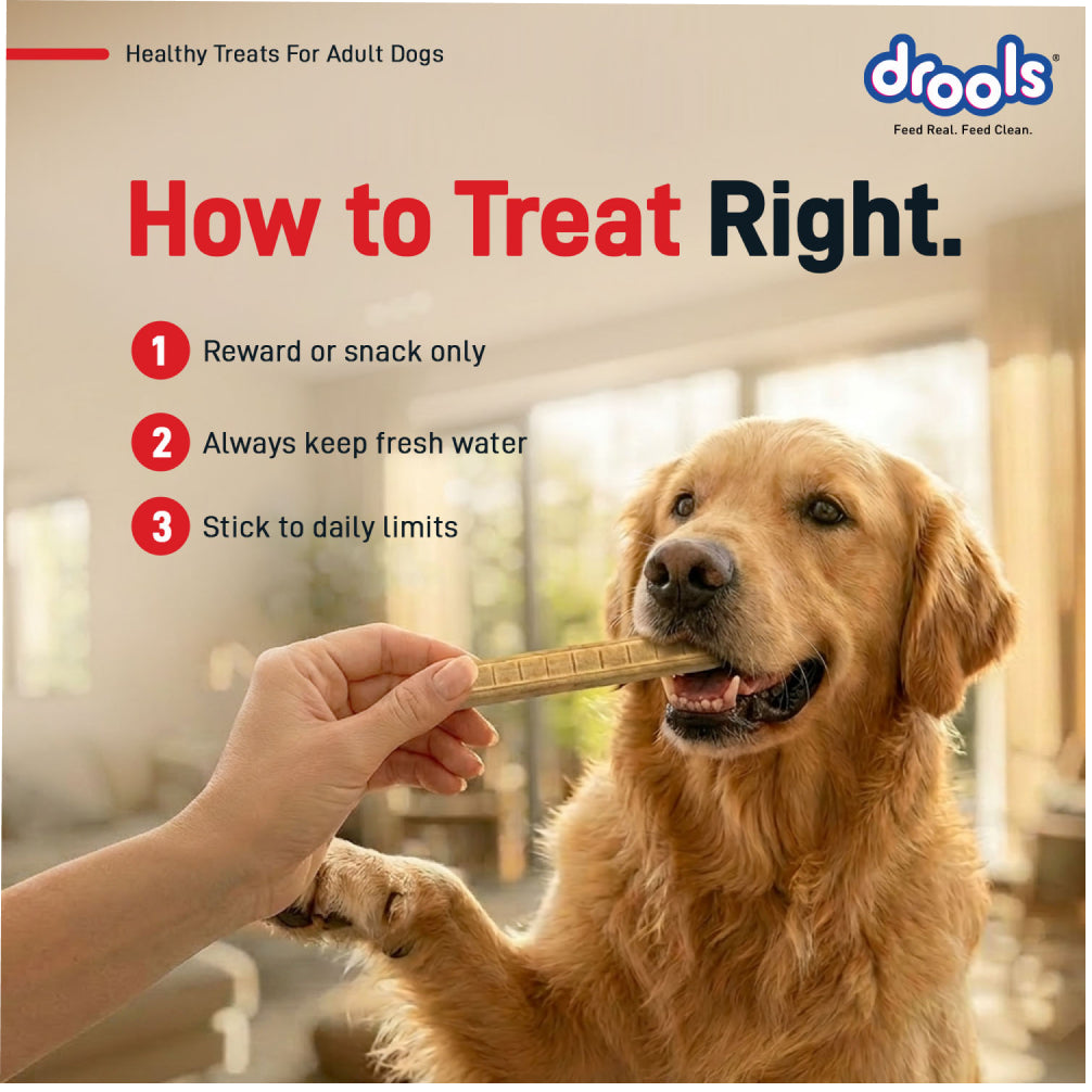 Drools Chicken Liver Sticks Dog treats