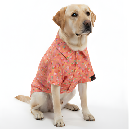 Pawgypets Softy Casual Shirt for Dogs (Peach)