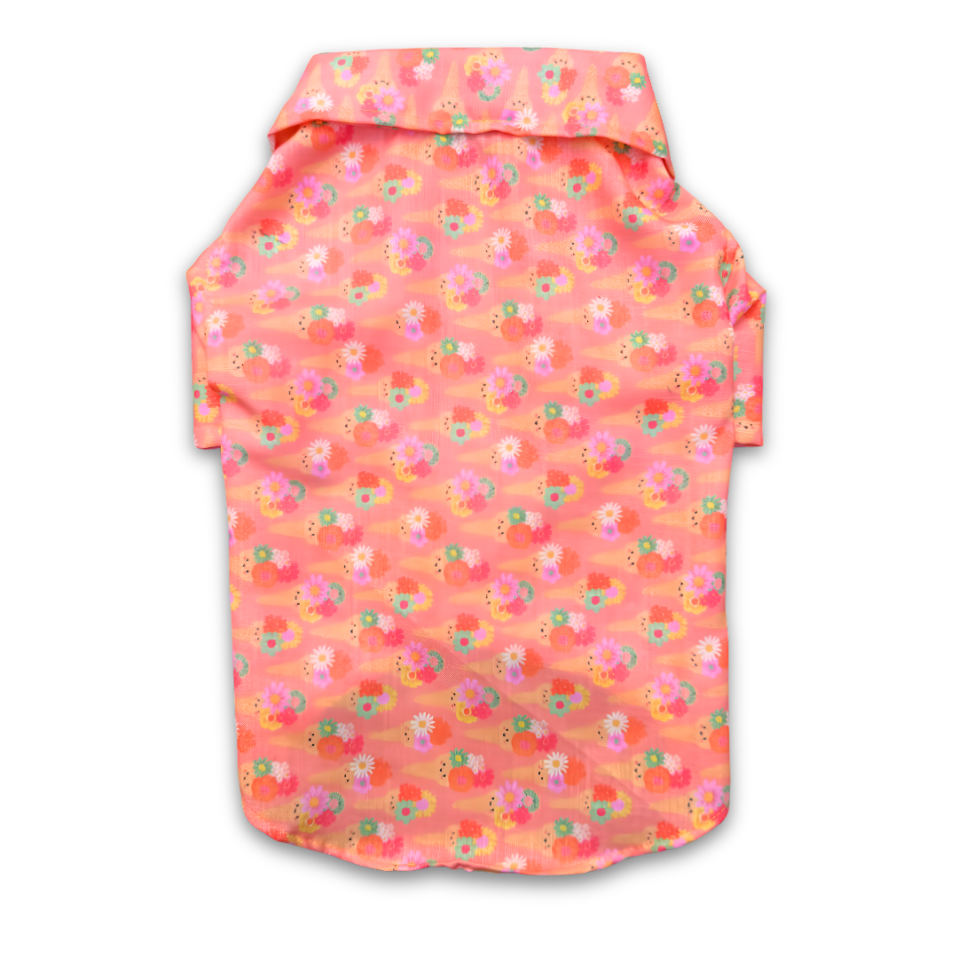 Pawgypets Softy Casual Shirt for Dogs (Peach)