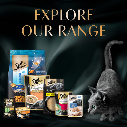 Sheba Sasami Pate Rich Premium Adult Fine Cat Wet Food