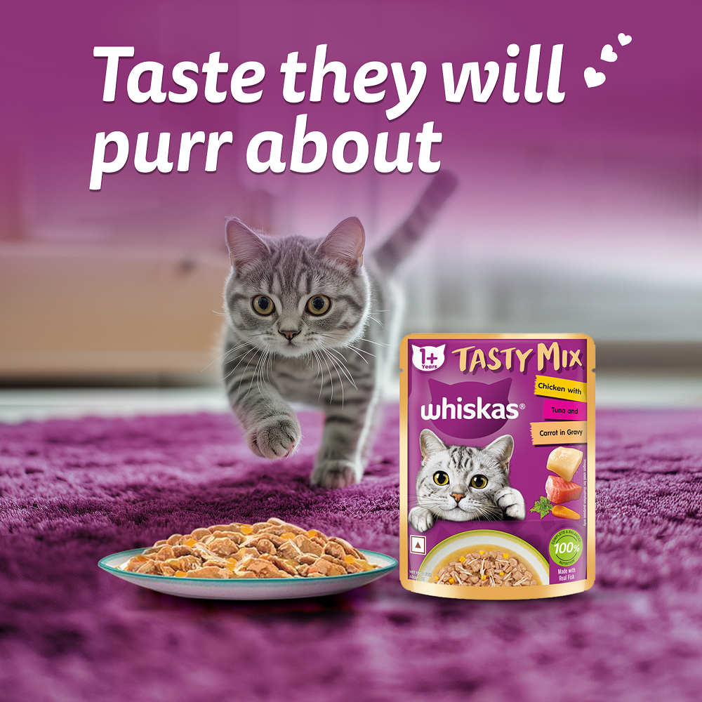 Whiskas Adult Wet Cat Food Combo |Chicken, Tuna & Seafood (Jelly & Gravy)