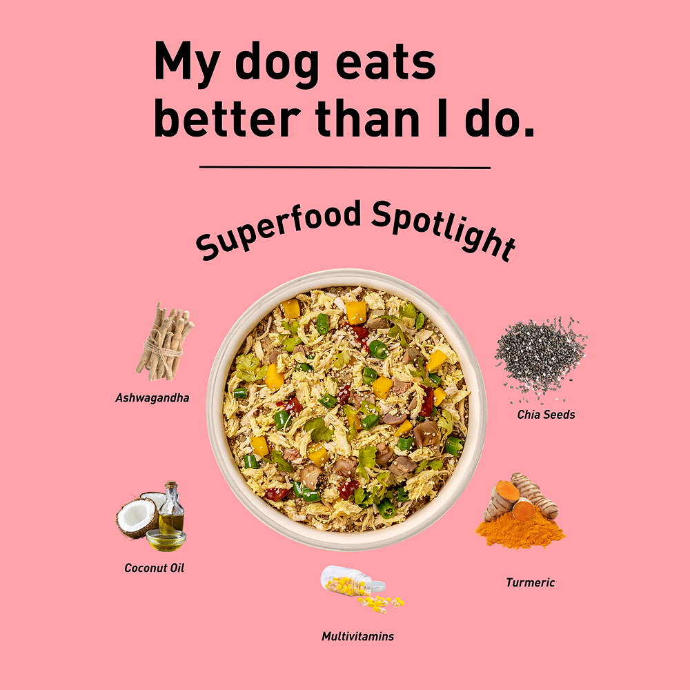 Homiee & Ginger Power Bowl Chicken Variety Pack