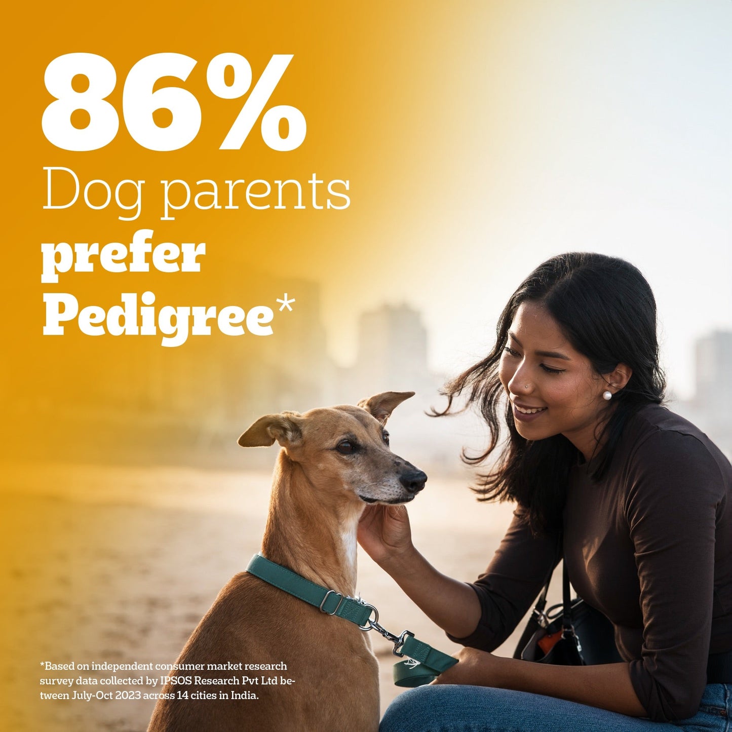 Pedigree Adult Dog Food Combo |Meat & Rice Dry & Chicken & Liver Wet