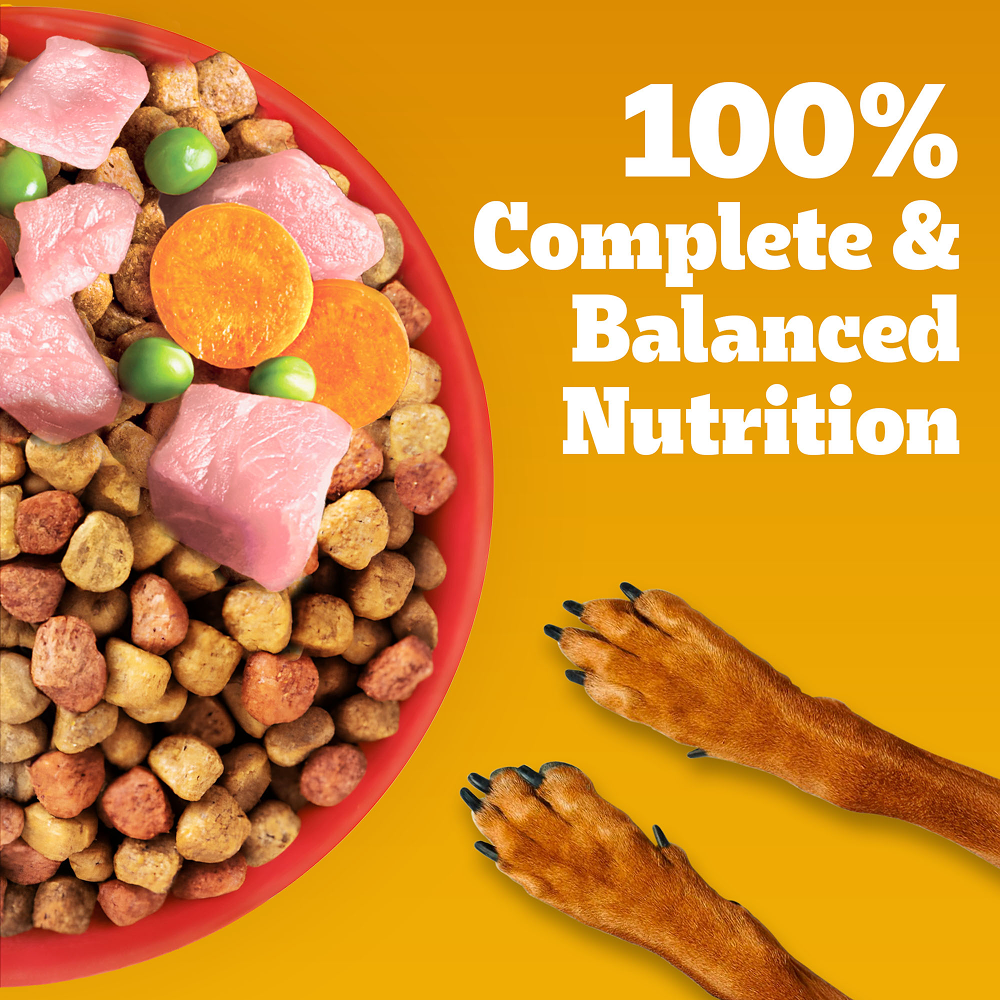 Pedigree Chicken & Veg Dry Food with Petkit FreshElement Solo Smart Wi Fi Feeder Ultimate Smart Feeding Adult Dog Combo