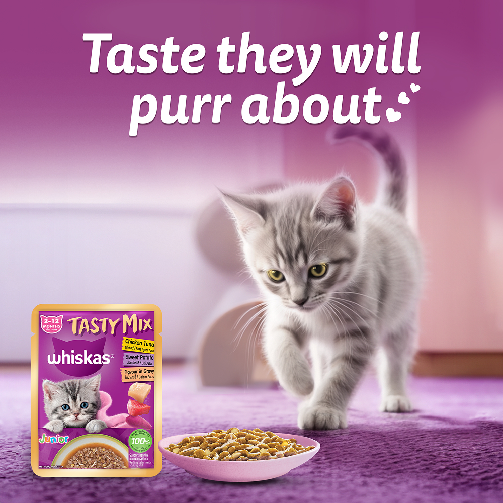 Whiskas Kitten Tasty Mix Wet Food Combo |Chicken, Tuna, Seafood & Salmon