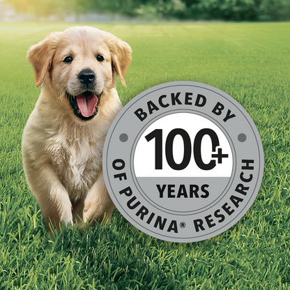 Purina Friskies Chicken Flavoured Puppy Dog Dry Food