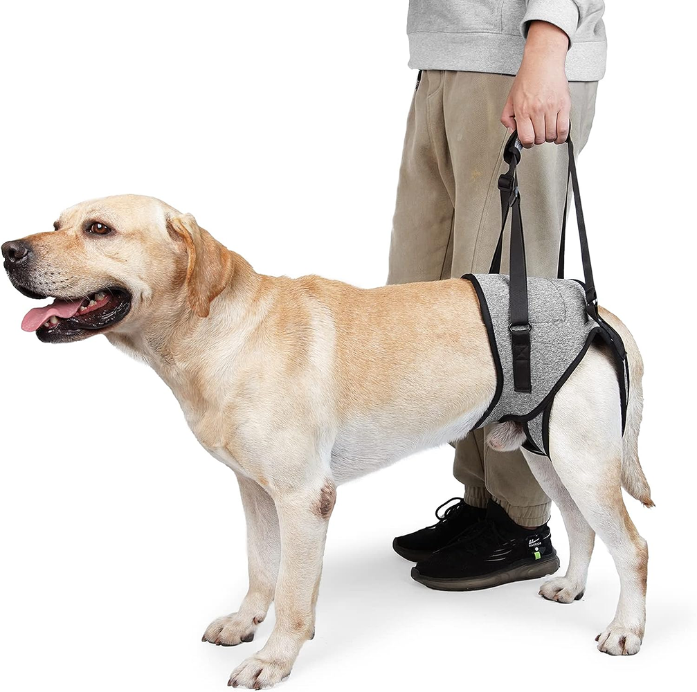 KUTKUT Rehabilitation Sling Hind Limb Support Lift Harness for Dogs (Grey)