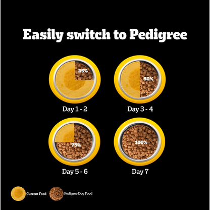 Pedigree PRO Expert Nutrition Active Adult (18 Months Onwards) Large Breed Dog Dry Food