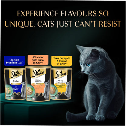 Sheba Chicken Loaf Rich Premium Kitten (2 to 12 Months) Fine Cat Wet Food
