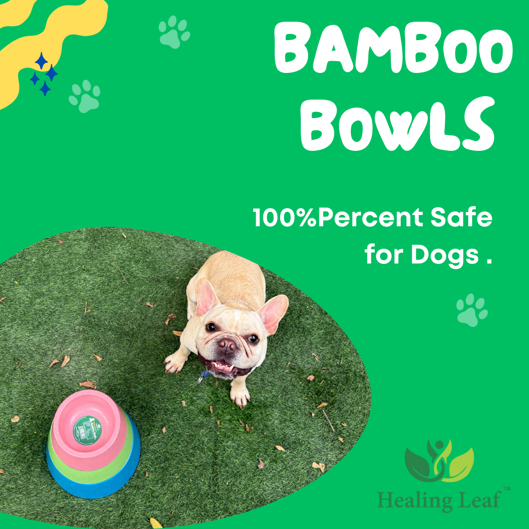Healing Leaf Eco Friendly Cartoon Bamboo Bowl for Dogs and Cats (Purple)