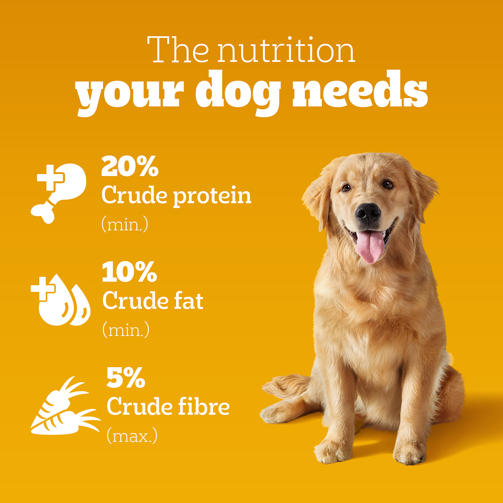 Pedigree Chicken & Veg Dry Food with Petkit FreshElement Solo Smart Wi Fi Feeder Ultimate Smart Feeding Adult Dog Combo