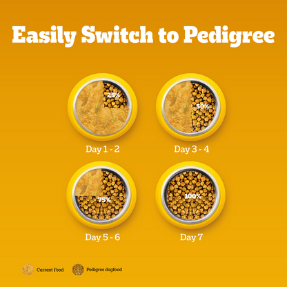 Pedigree Chicken Biryani Flavour Adult Dog Dry Food