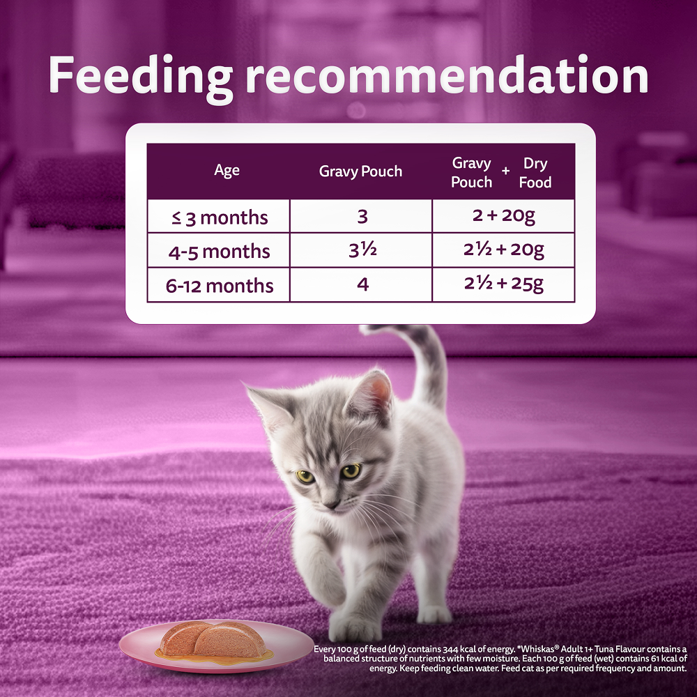 Whiskas Adult Cat Food Combo |Mackerel Dry & Chicken in Gravy Wet