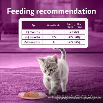 Whiskas Adult Cat Food Combo |Mackerel Dry & Chicken in Gravy Wet