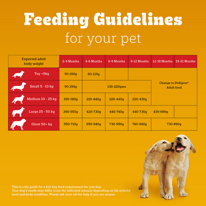 Pedigree Chicken and Milk Puppy Dog Dry Food