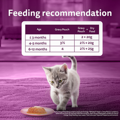 Whiskas Kitten Cat Food Combo |Ocean Fish Dry & Chicken with Salmon in Jelly in Gravy Wet
