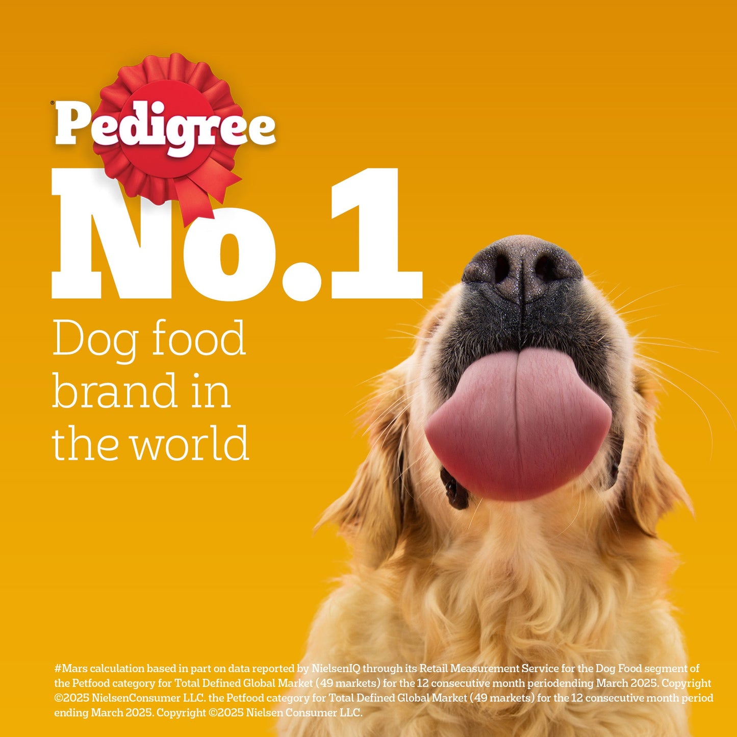 Pedigree Adult Dog Food Combo |Meat & Rice Dry & Chicken & Liver Wet