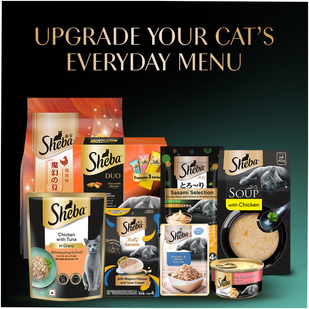 Sheba Chicken Loaf Rich Premium Kitten (2 to 12 Months) Fine Cat Wet Food