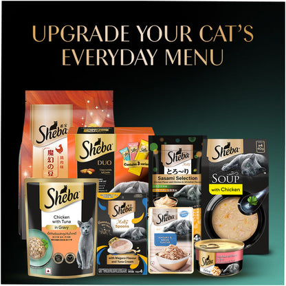 Sheba Chicken Loaf Rich Premium Kitten (2 to 12 Months) Fine Cat Wet Food