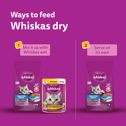 Whiskas Ocean Fish Flavour Dry Food & Petkit Freshelement Solo Automatic 2.4G WiFi Food Dispenser Adult Cat Combo