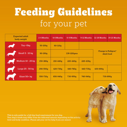 Pedigree Chicken and Milk Dry Food & Petkit YumShare Solo Automatic 2.4G WiFi Food Dispenser with HD Camera Dog Puppy Combo