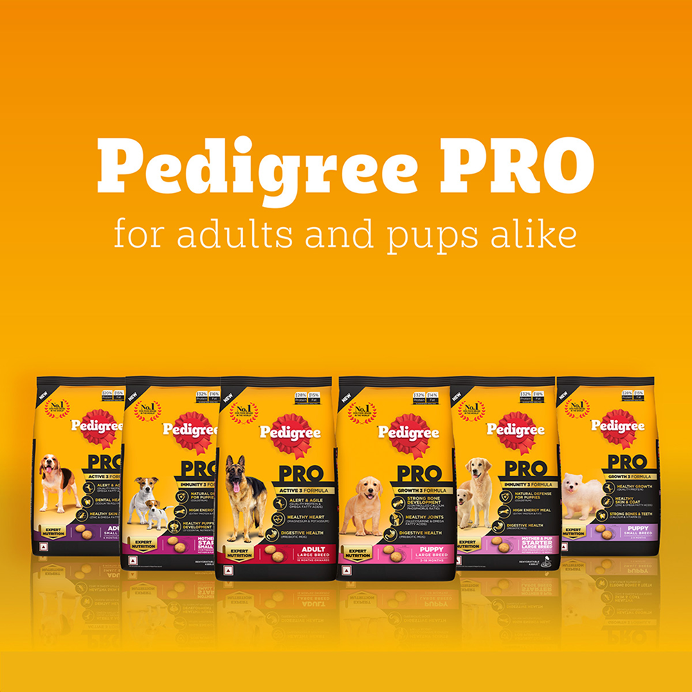 Pedigree PRO Expert Nutrition Lactating/Pregnant Mother & Puppy Starter(3 to 12 Weeks) Large Breed Dog Dry Food  (Limited Shelf Life)