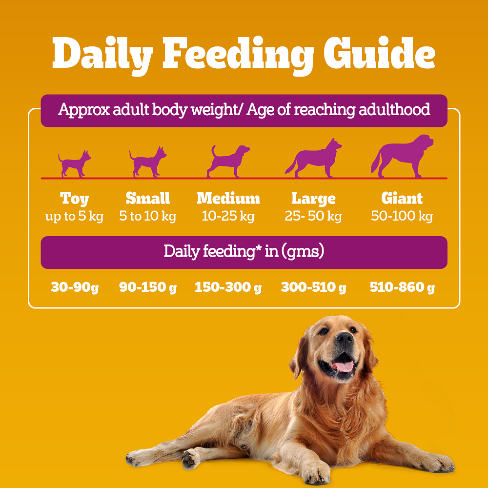Pedigree Chicken Biryani Flavour Adult Dog Dry Food