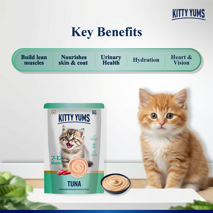 Kitty Yum Tuna Mousse Kitten Cat Wet Food