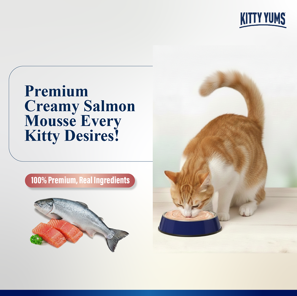 Kitty Yum Salmon Mousse Adult Cat Wet Food