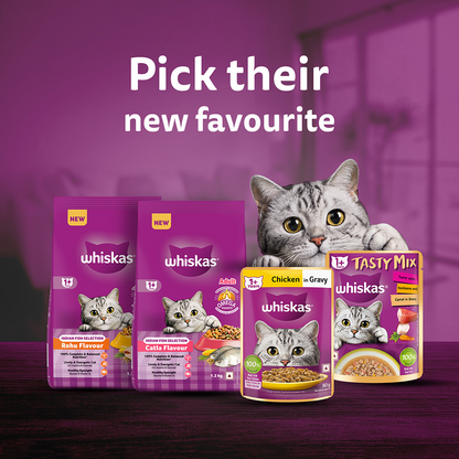 Whiskas Rohu Fish Flavour Adult Cat Dry Food