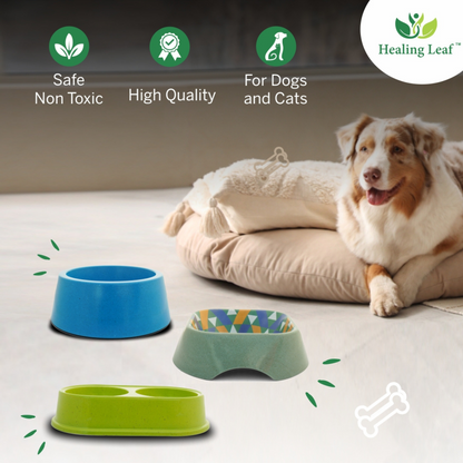 Healing Leaf Eco Friendly Bamboo Bowl for Dogs and Cats (Yellow)
