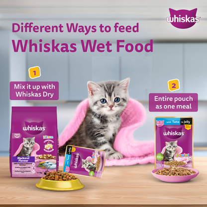 Whiskas Kitten Cat Food Combo |Ocean Fish Dry & Chicken with Salmon in Jelly in Gravy Wet
