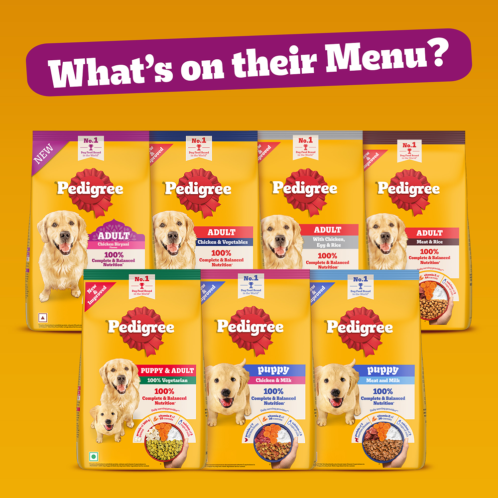 Pedigree Chicken Biryani Flavour Adult Dog Dry Food