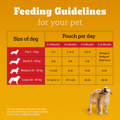 Pedigree Puppy Dog Food Combo |Meat & Milk Dry & Chicken & Liver Wet