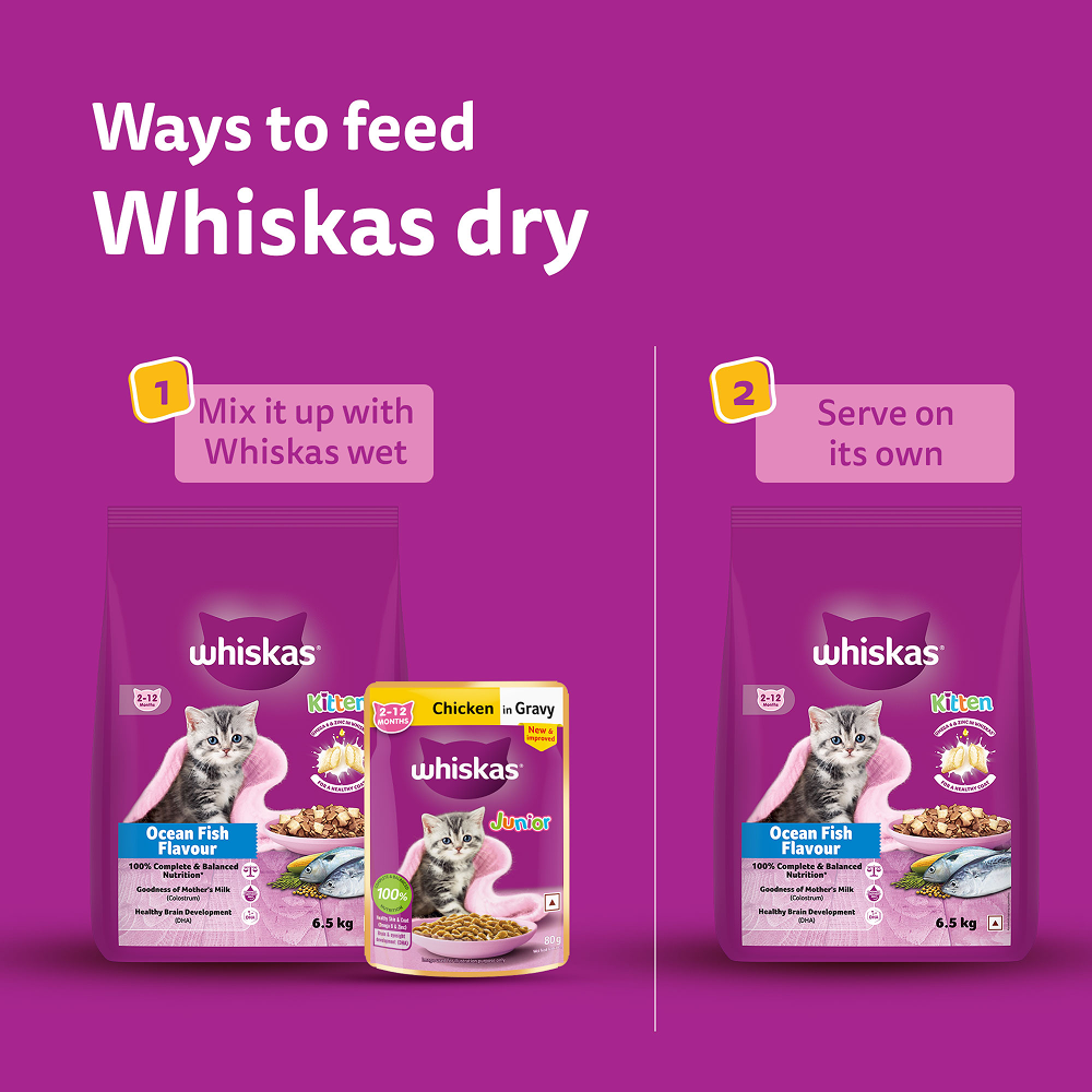 Whiskas Kitten Cat Food Combo |Ocean Fish Dry & Chicken with Salmon in Jelly in Gravy Wet