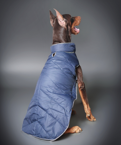 Pet Set Go Wind Sheeter Jackets for Dogs (Blue)