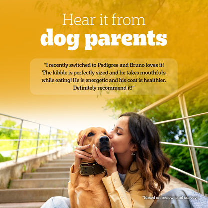 Pedigree Adult Dog Food Combo |Meat & Rice Dry & Chicken & Liver Wet