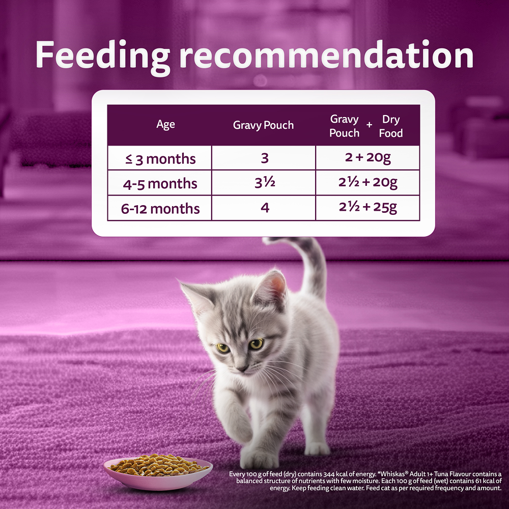 Whiskas Kitten Wet Food Value Combo |Chicken, Tuna & Mackerel