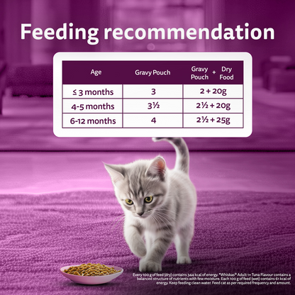 Whiskas Kitten Wet Food Value Combo |Chicken, Tuna & Mackerel