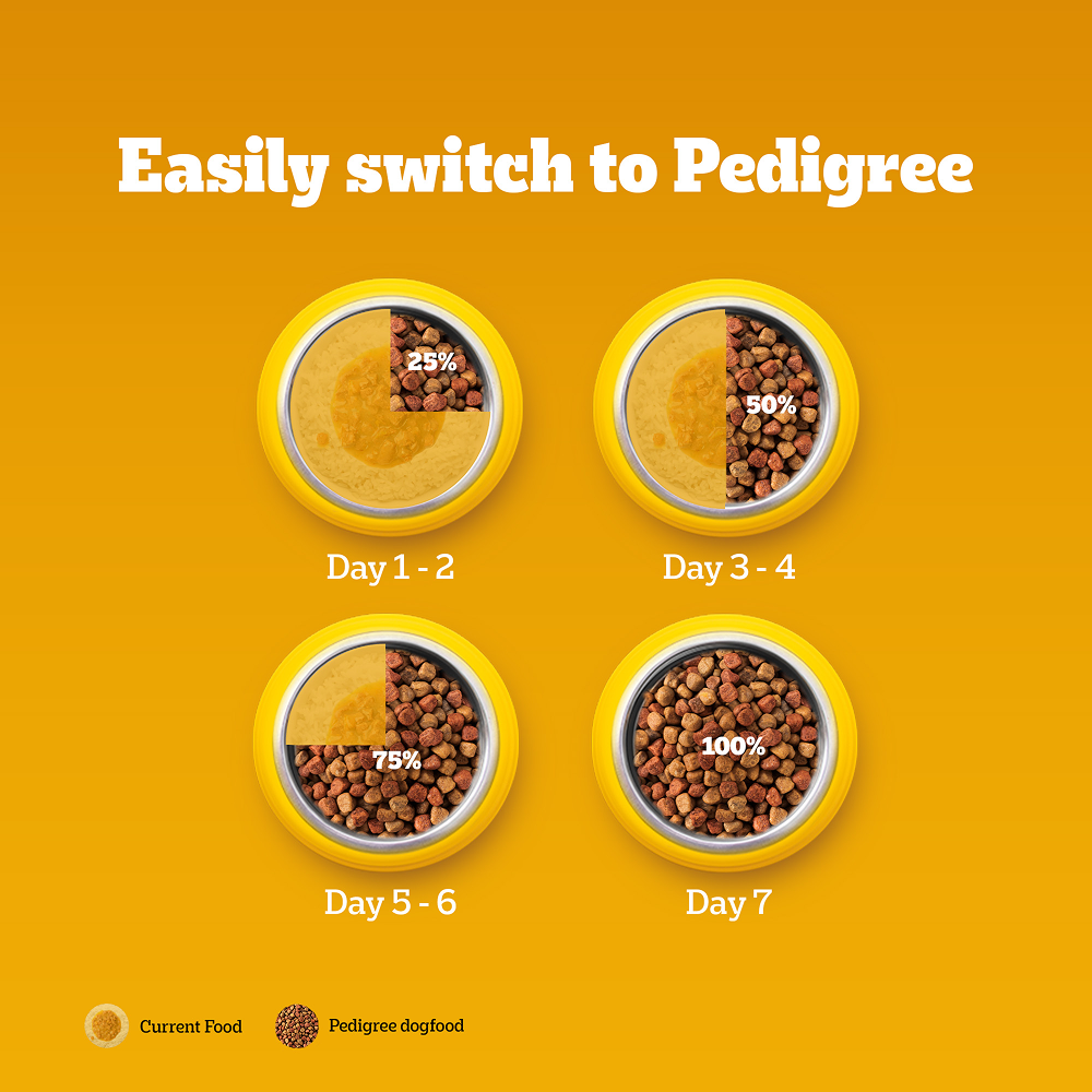 Pedigree Chicken & Veg Dry Food with Petkit FreshElement Solo Smart Wi Fi Feeder Ultimate Smart Feeding Adult Dog Combo