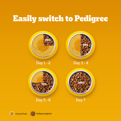 Pedigree Chicken & Veg Dry Food with Petkit FreshElement Solo Smart Wi Fi Feeder Ultimate Smart Feeding Adult Dog Combo