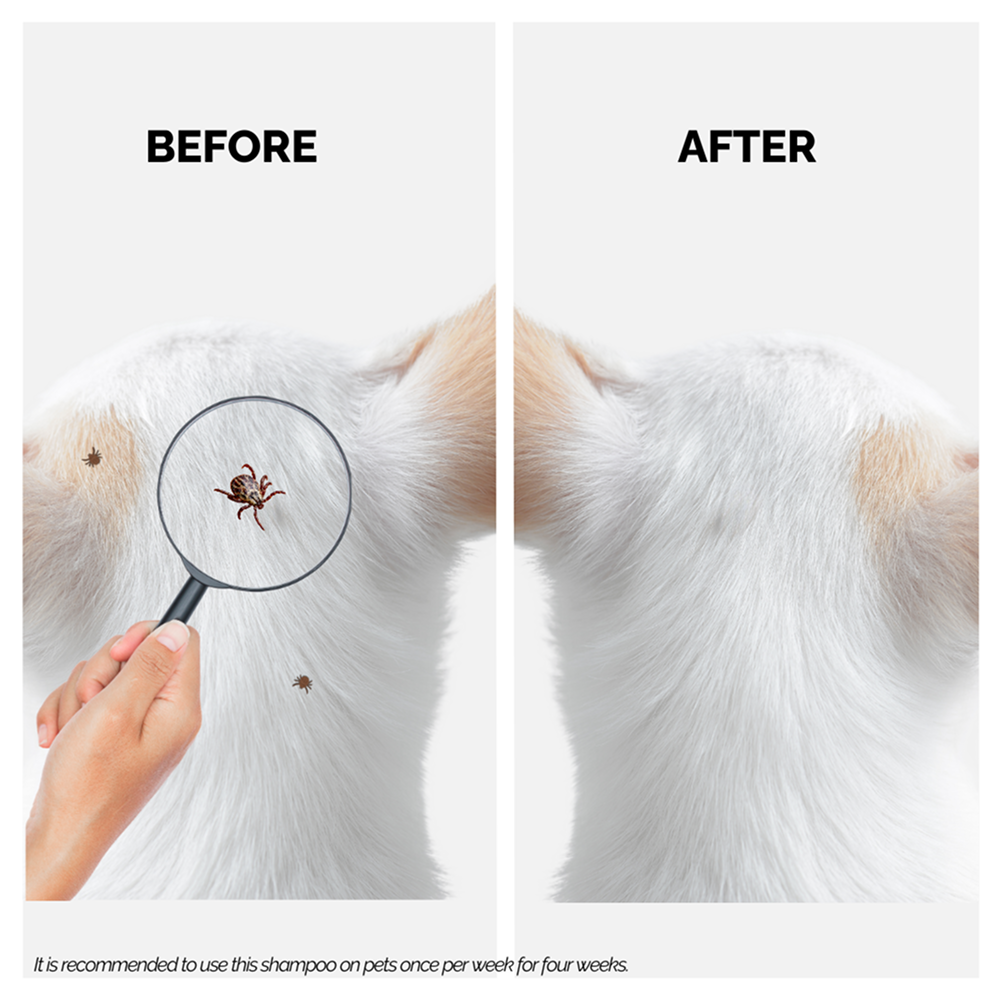 Moe Puppy Tick Defense Shampoo for Dogs & Cats
