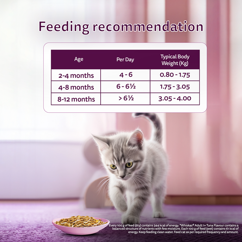 Whiskas Kitten Tasty Mix Wet Food Combo |Chicken, Tuna, Seafood & Salmon