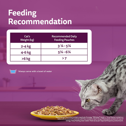 Whiskas Adult Cat Food Combo |Ocean Fish Dry & Salmon in Gravy Wet