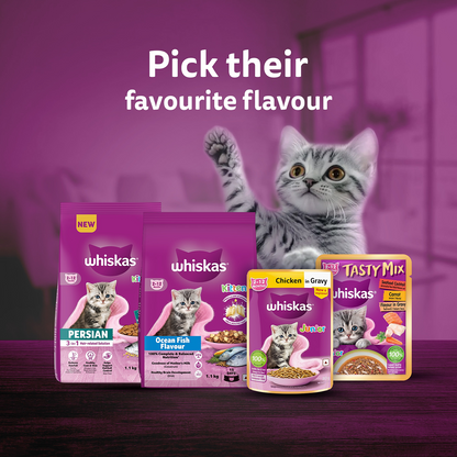Whiskas Kitten Cat Food Combo |Ocean Fish Dry & Chicken with Salmon in Jelly in Gravy Wet