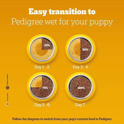 Pedigree Puppy Dog Food Combo |Meat & Milk Dry & Chicken & Liver Wet