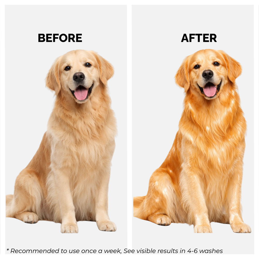 Moe Puppy Oatmeal Glow Shampoo for Dogs & Cats
