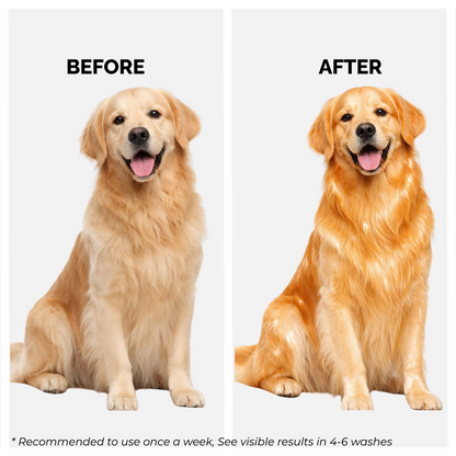 Moe Puppy Oatmeal Glow Shampoo for Dogs & Cats