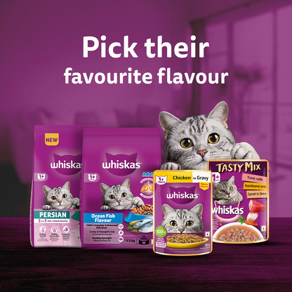 Whiskas Adult Cat Food Combo |Mackerel Dry & Chicken in Gravy Wet