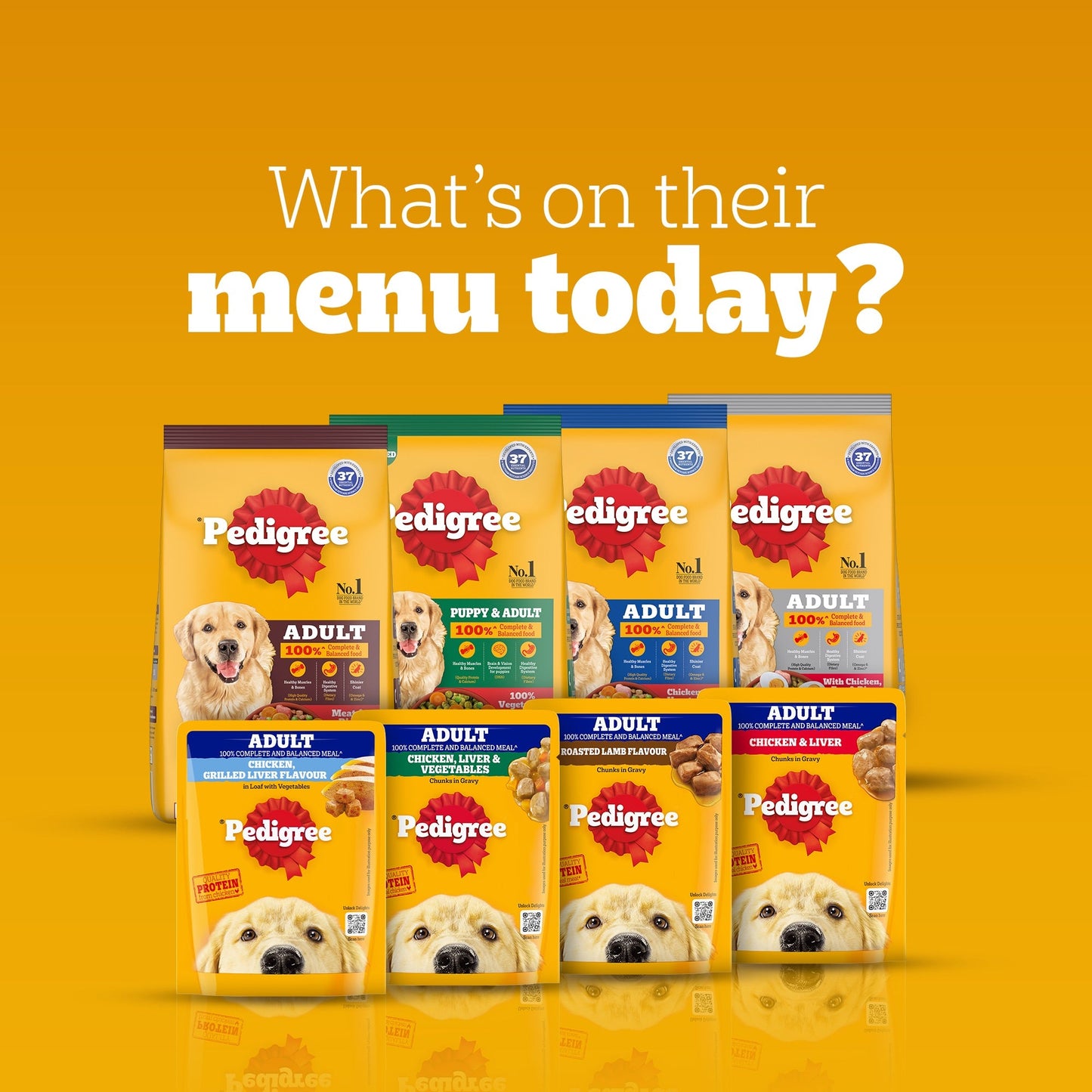 Pedigree Adult Dog Food Combo |Meat & Rice Dry & Chicken & Liver Wet